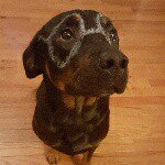 Profile Picture of Matt Daulton (@matt_daulton) on Instagram