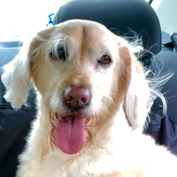 Profile Picture of Rebecca Keyser (@r_keyser) on Poshmark