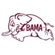 Profile Picture of Chad Stegall (@chadstegall6469) on Youtube