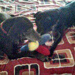 Profile Picture of Michael Moffet (@mmoffet) on Instagram