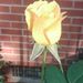 Profile Picture of Paul Cordero II (@paulcorderoii) on Pinterest