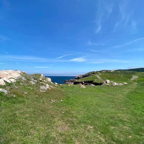 Profile Picture of Camille Foisie (@cfoisie) on Poshmark