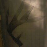 Joshua Thomsen - Instagram Profile Picture of Joshua Thomsen (@monkey245fatbikejosh) on Instagram