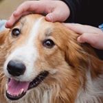 Profile Picture of paul arroba (@jankal123) on Instagram