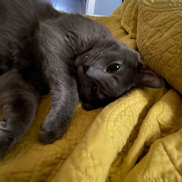 Profile Picture of Keek Thomas (@keek_thomas) on Poshmark