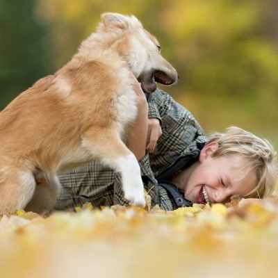 Profile Picture of Alexander Rubino (@Alexand73630428) on Twitter