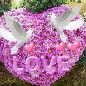 Profile Picture of Amran Chowdhury (@AmranChowdhury7) on Twitter