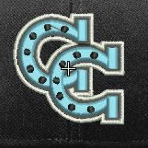 Profile Picture of Carson Baseball (@Carson_ColtsBB) on Twitter