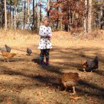 Profile Picture of Beth Frazier (@modernhomestead) on Instagram