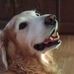 Profile Picture of Raymond Sigler (@raymond.sigler.12) on Facebook