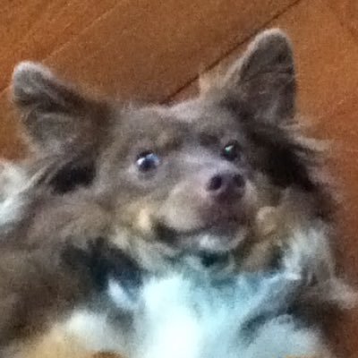 Profile Picture of Jake Wightman (@JakWight) on Twitter