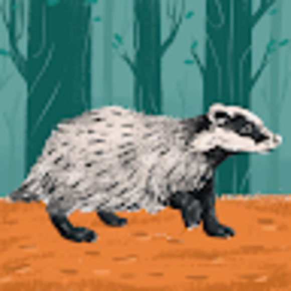 Profile Picture of Lorelei Meuse (@loreleimeuse) on Poshmark