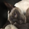 Profile Picture of Aaron Kasper (@aaron.kasper) on Tiktok