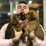 Profile Picture of Austin Potts (@austinjpotts) on Instagram