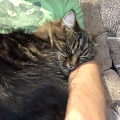 Profile Picture of JOSEPH HAMRICK (@JOSEPHHAMRICK3) on Twitter