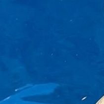 Pauloberg1 - Twitter Profile Picture of Pauloberg1 (@Pauloberg12) on Twitter