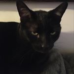 Profile Picture of Jason Brownlow (@jason.bro27) on Instagram