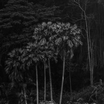 Profile Picture of Andy Pezzulo (@redux808) on Twitter