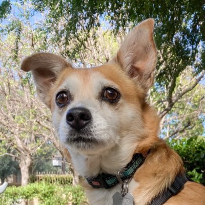 Profile Picture of John Hull (@JMHull_LA) on Twitter