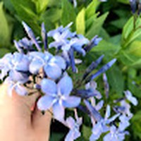 Profile Picture of Paige Staley (@paige-staley-3) on Quora