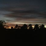 Profile Picture of Oliver~Davey (@olives_on_skis) on Instagram