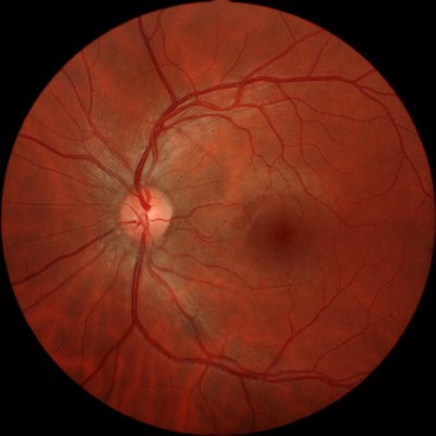 Profile Picture of Corey Kisser (@ckisser) on Twitter