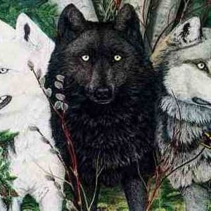 Profile Picture of Zachary Gemmill (@177263545) on Myspace