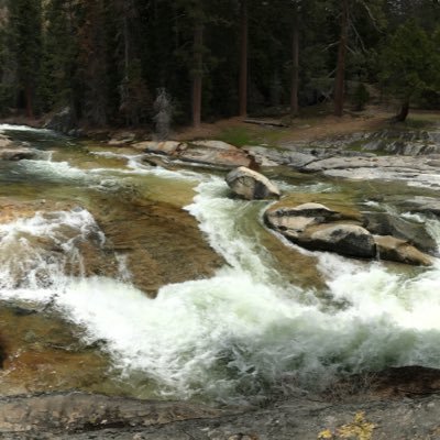 Profile Picture of Lori Armer (@armer_lori) on Twitter