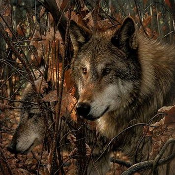 Profile Picture of Anne Biggs (@AnneBiggs4) on Twitter