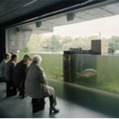 Profile Picture of Sandy Heath (@sandyHeath7485) on Twitter