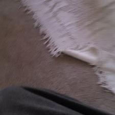 Profile Picture of Charles Wiggins (@wiggchar) on Twitter