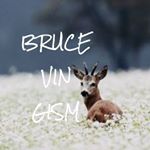 Profile Picture of Bruce Vincent😎 (@brucevingism) on Instagram