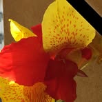 Profile Picture of Giuseppe Interbartolo (@Giuseppe-Interbartolo) on Facebook