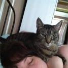 Profile Picture of Carrie Connor (@mscarrieconnor) on Pinterest