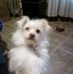 Profile Picture of Cinda Rudy (@cinda.rudy) on Facebook