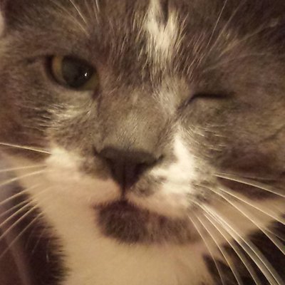 Profile Picture of Kitty Paris Baker Harperon Twitter