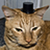 Profile Picture of Sean Colon Photography (@Sean Colon Photography) on Flickr