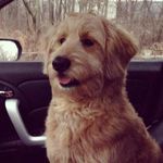 Profile Picture of Keith Kerrigan (@kerrigan676) on Instagram