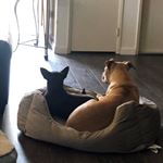 Evan Vantine - Instagram Profile Picture of Evan Vantine (@vanteezy) on Instagram