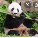 Profile Picture of Cole (@colbert_26) on Instagram