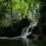 Profile Picture of Miguel Ixta (@miguelixta) on Instagram