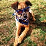 Profile Picture of Wesley Barry Leyccardi (@wesleythedoggyboy) on Instagram