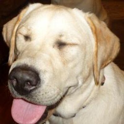 Profile Picture of Kyle Millard (@kyle_millard) on Twitter