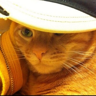 Profile Picture of Jerry Tung (@suzuki_jrsx4) on Twitter