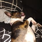 Profile Picture of Steven Tranter (@steven.tranter.2025) on Facebook