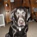 Profile Picture of Jason Walton (@jason.walton.568) on Facebook