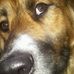 Profile Picture of Brice Bacon Head Ellis (@bricebaconhead.ellis) on Facebook