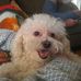 Profile Picture of Dusty Hawsey (@Dusty-Hawsey) on Facebook