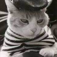 Profile Picture of Benjamin Der Kinderen (@lumboy251) on Pinterest