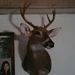 Profile Picture of Jeff Beecher (@jeffbeecher001) on Pinterest